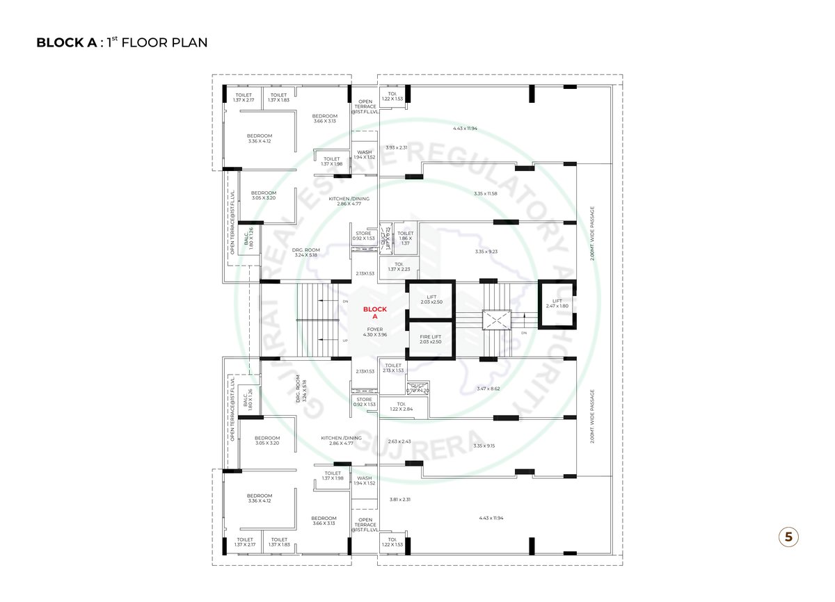 Kailash Rudraksh - Image 5