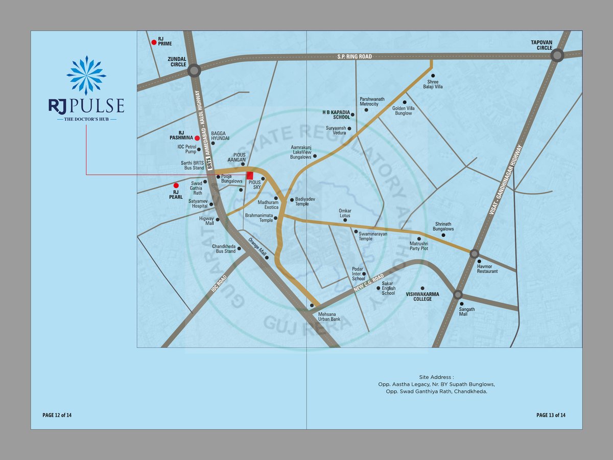 Rj Pulse - Image 7