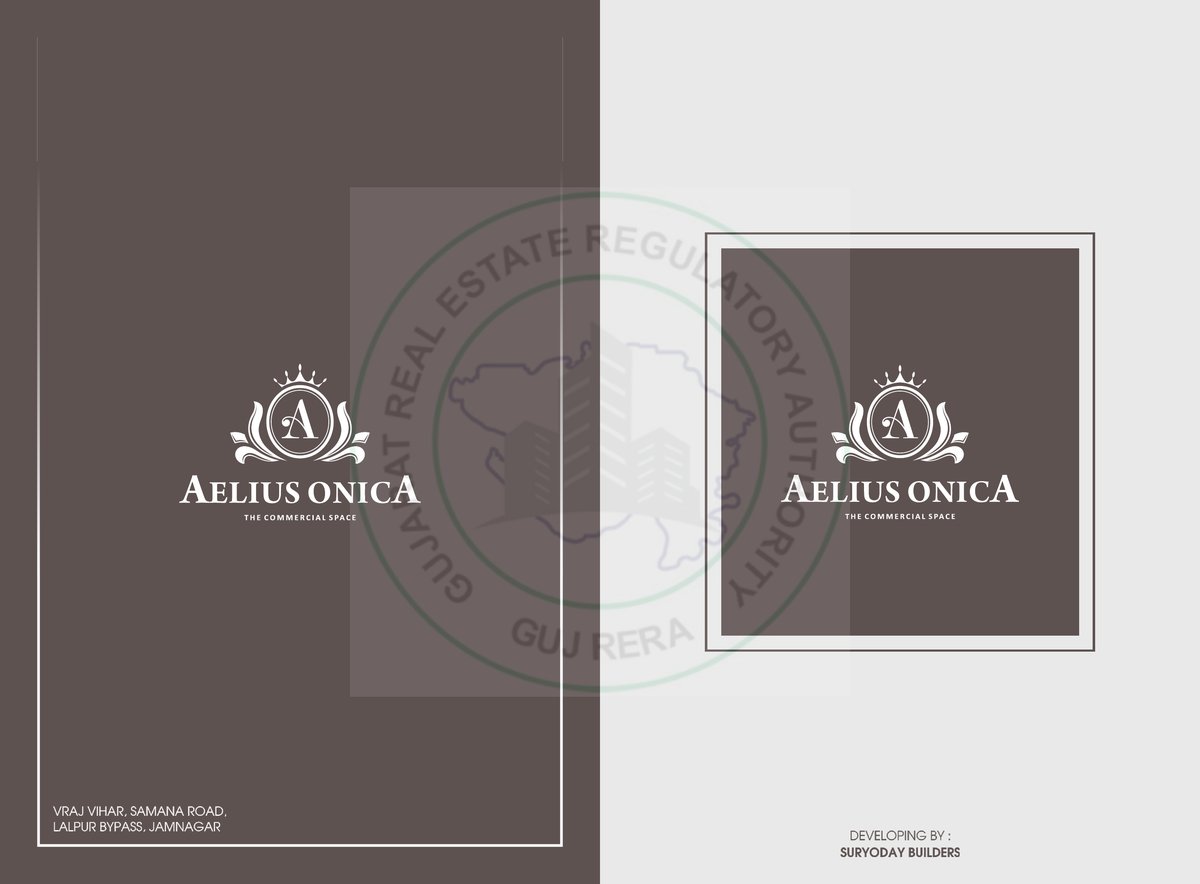 Aelius Onica — brochure image 1