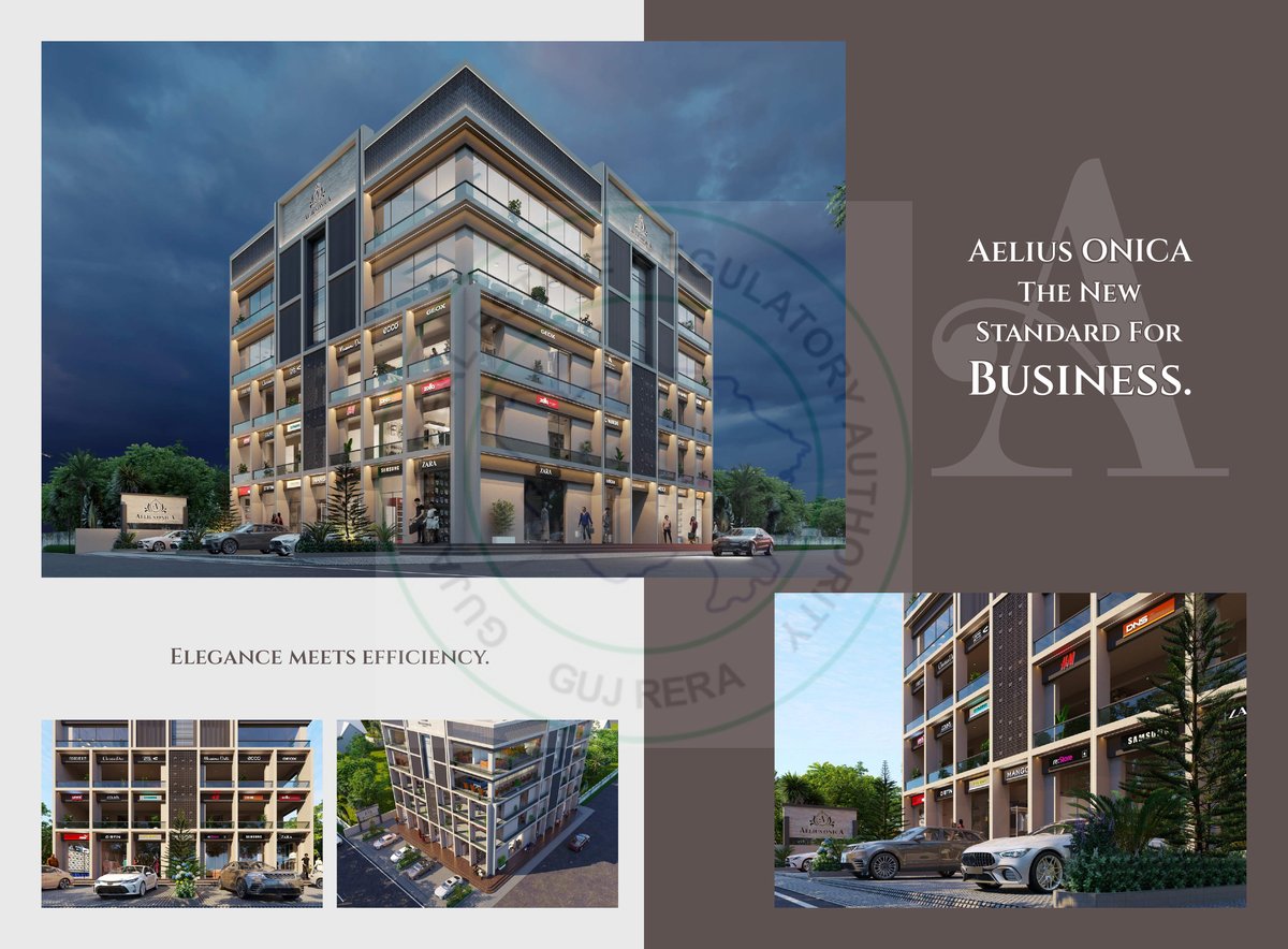 Aelius Onica — brochure image 6