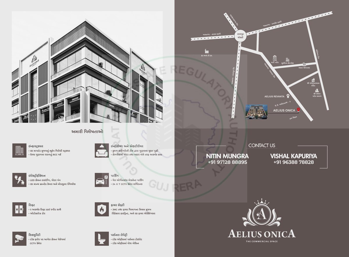 Aelius Onica — brochure image 7