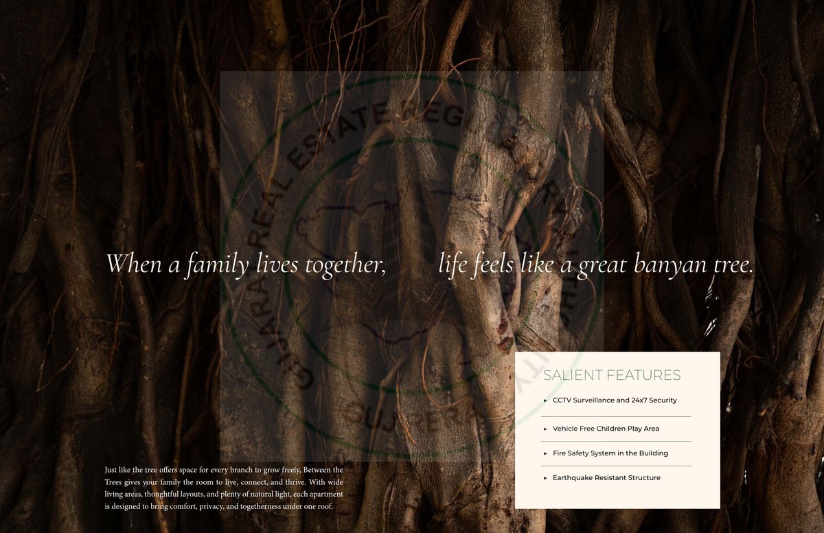 Between The Trees - Image 12