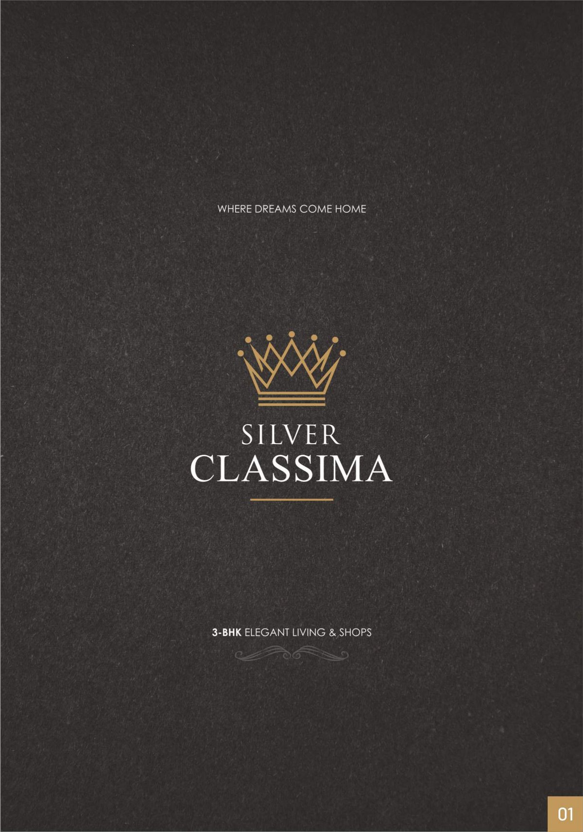 Silver Classima — brochure image 1